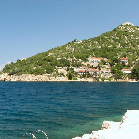 Starigrad Apartment 外观 照片